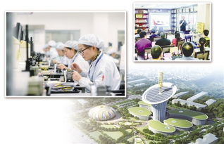 武汉东湖新技术开发区政务网技术开发 构建智慧政务新引擎